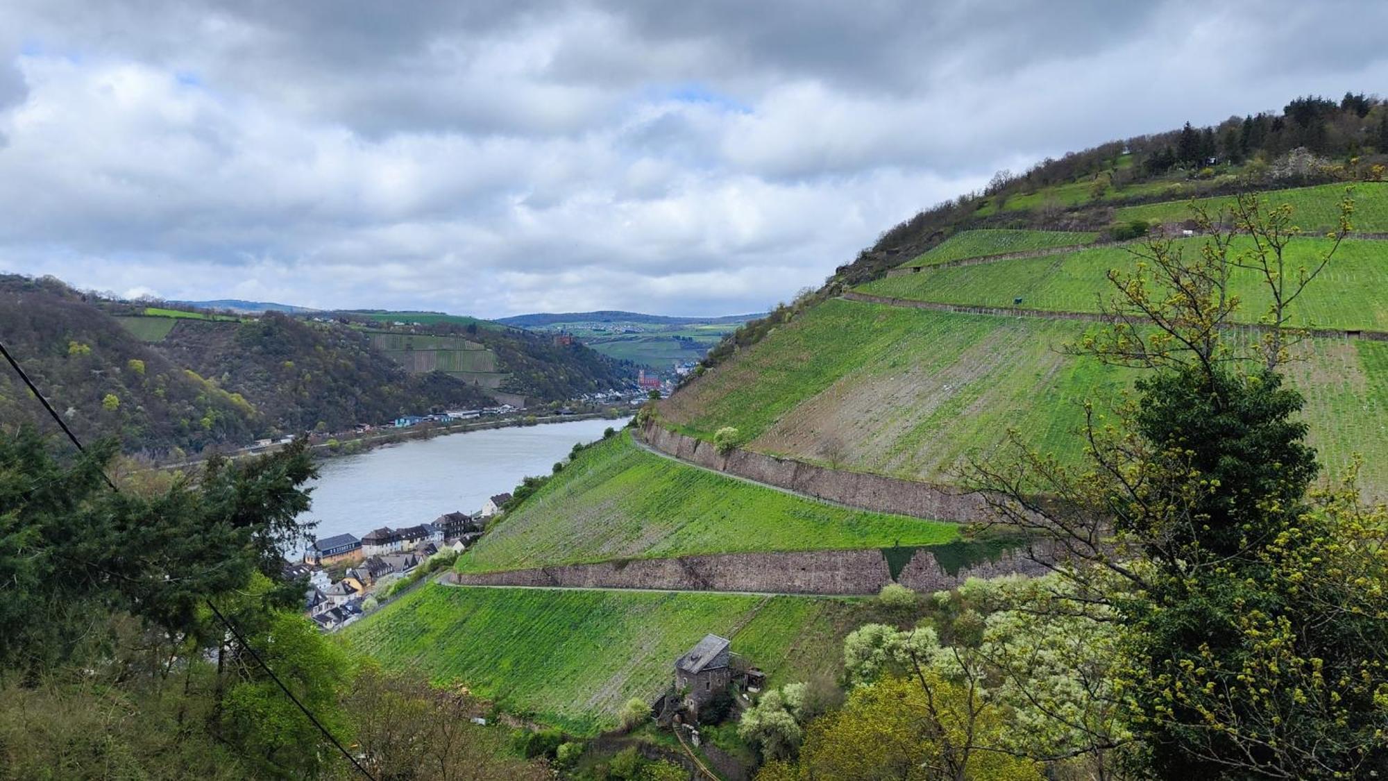 Direkt Am Rhein Mit Burgblick Nahe Rheinsteig Bis 8 Personen, 2 Baeder, 4 Zimmer, Kueche, Netflix Διαμέρισμα Kaub Εξωτερικό φωτογραφία