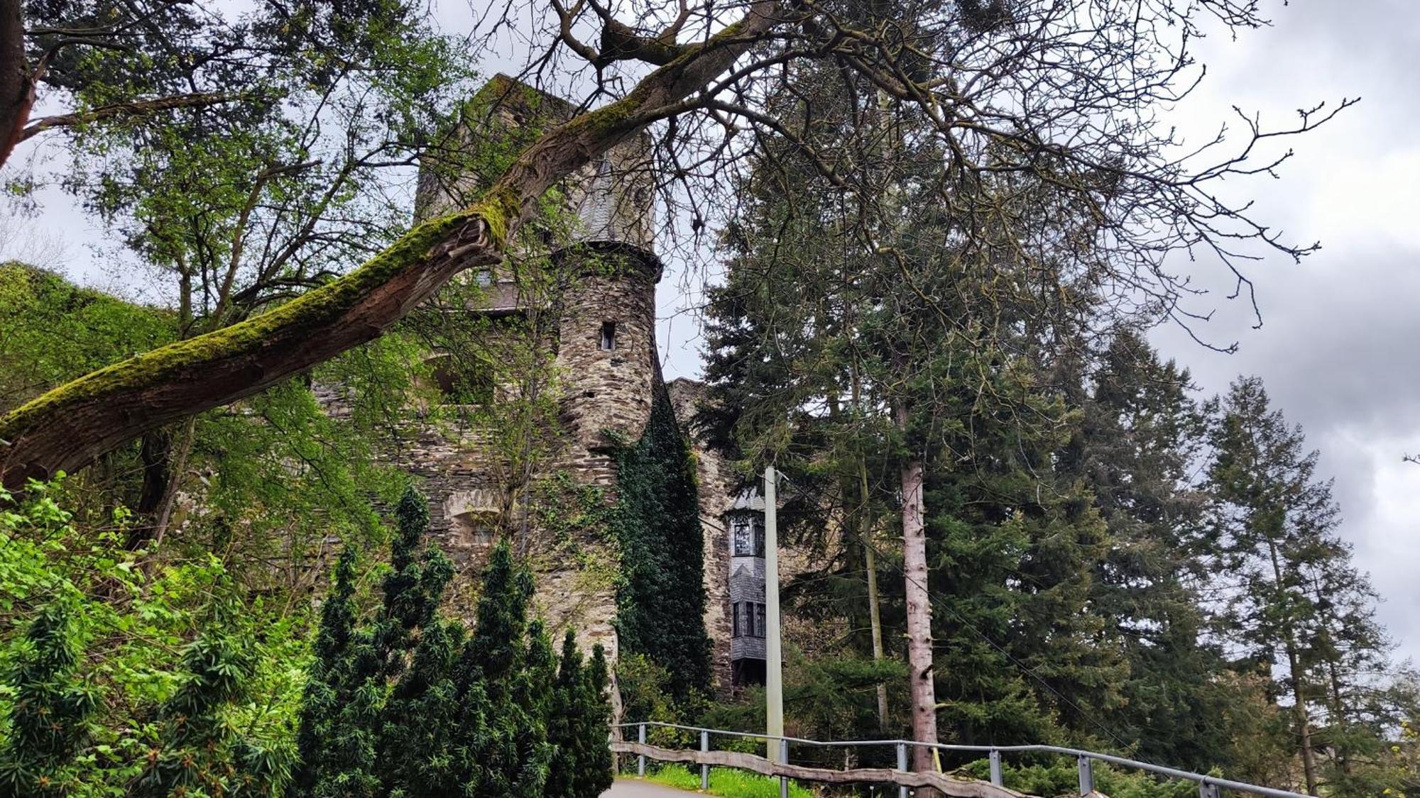 Direkt Am Rhein Mit Burgblick Nahe Rheinsteig Bis 8 Personen, 2 Baeder, 4 Zimmer, Kueche, Netflix Διαμέρισμα Kaub Εξωτερικό φωτογραφία